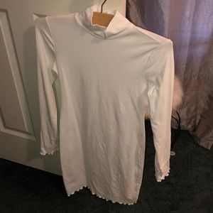 Long sleeve turtle neck fitted dress